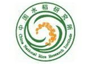 中国水稻研究所